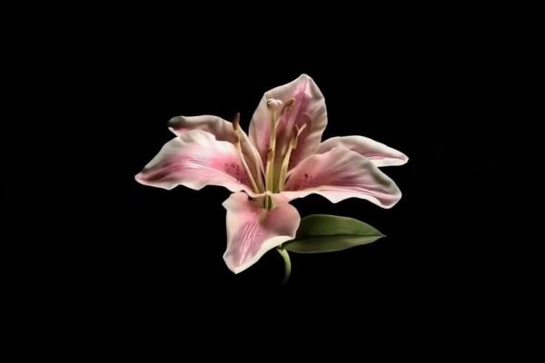 Comment se protéger en soirée ?